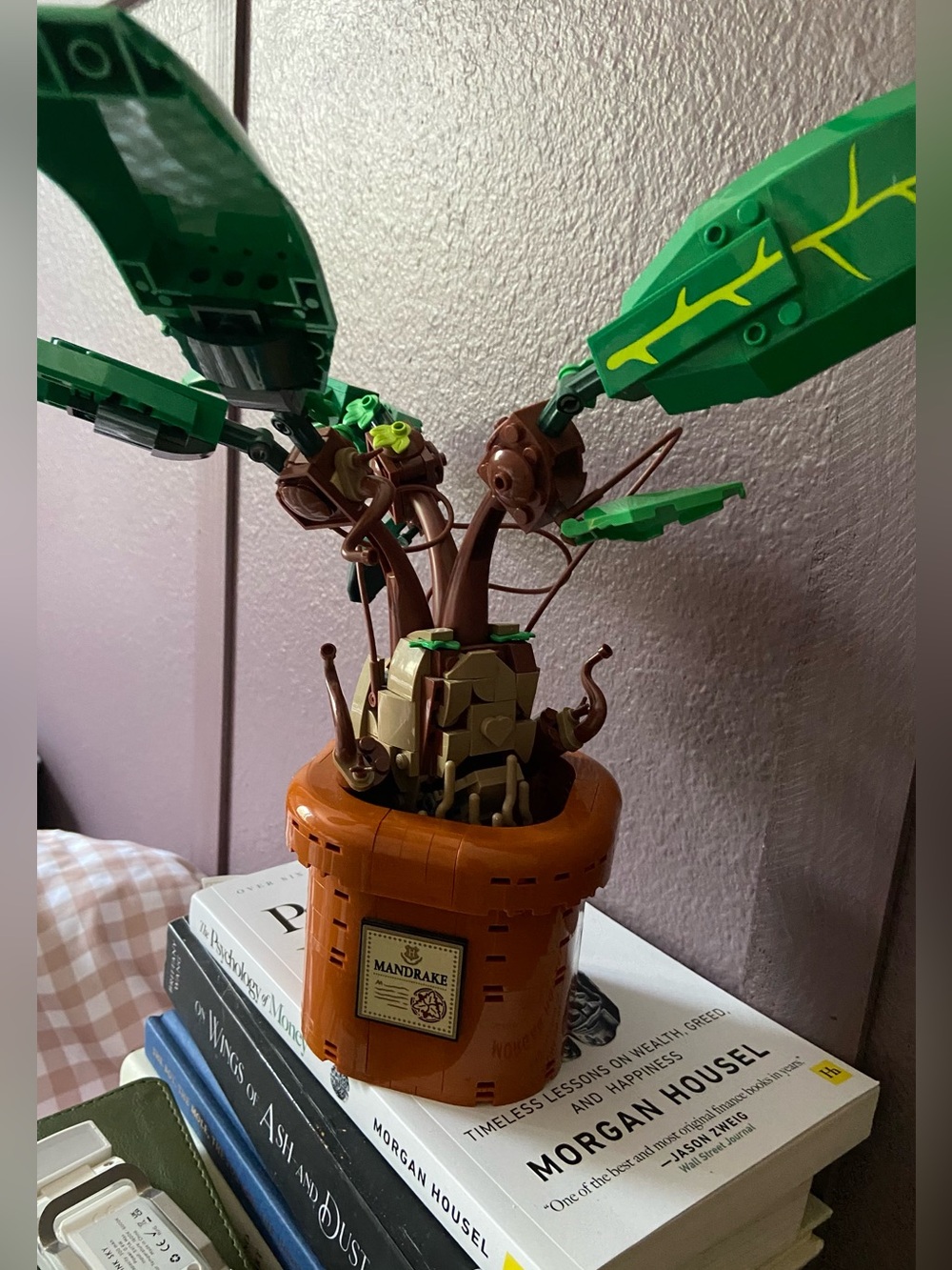 Harry Potter Plant